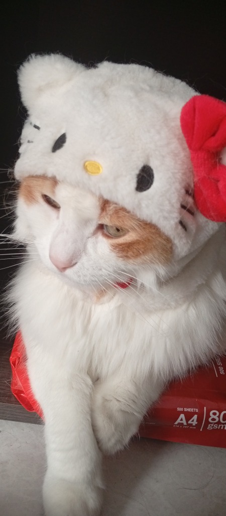 Leo Hat