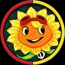 Solar Flare