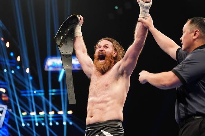 Sami Zayn