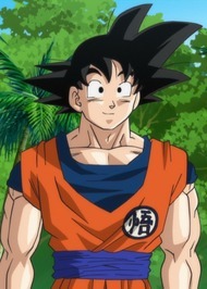 Son Goku