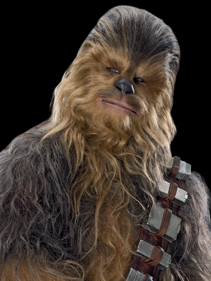 Chewbacca