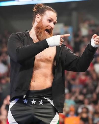 Sami Zayn