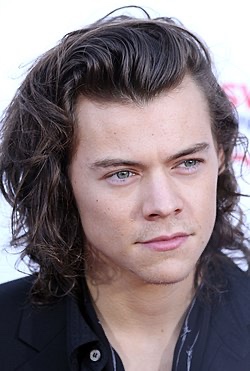 harry styles