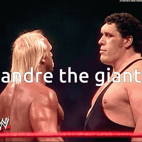 ANDRE THE GIANT