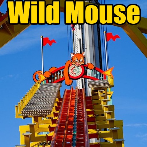 Wild Mouse