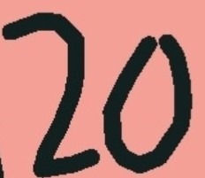 20