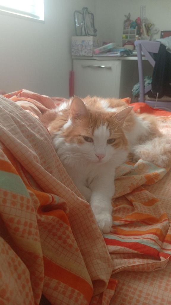 Leo MorningWakey