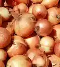 Onion