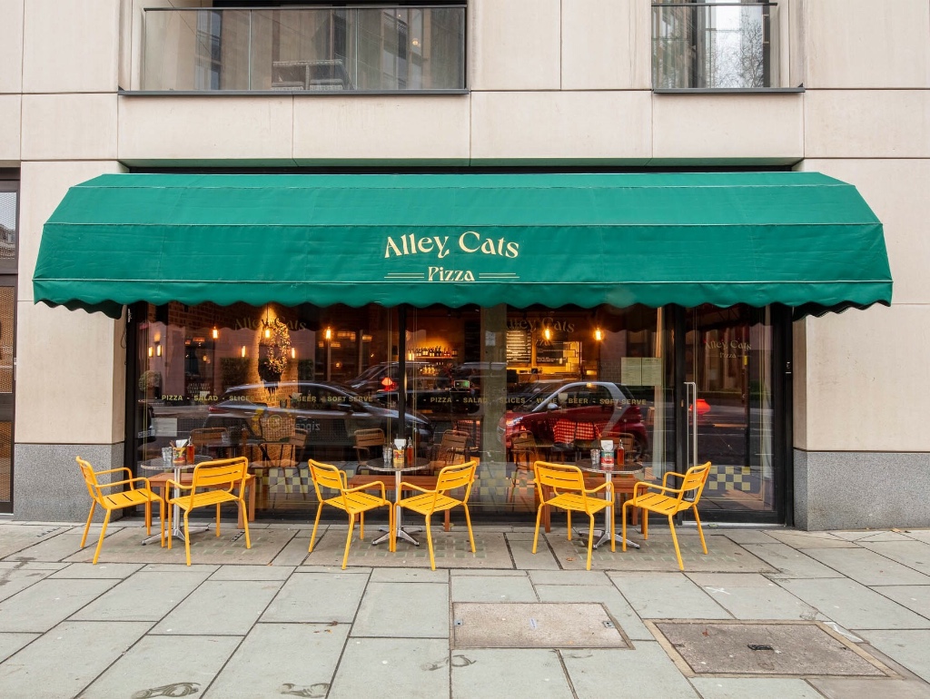 Alley Cats