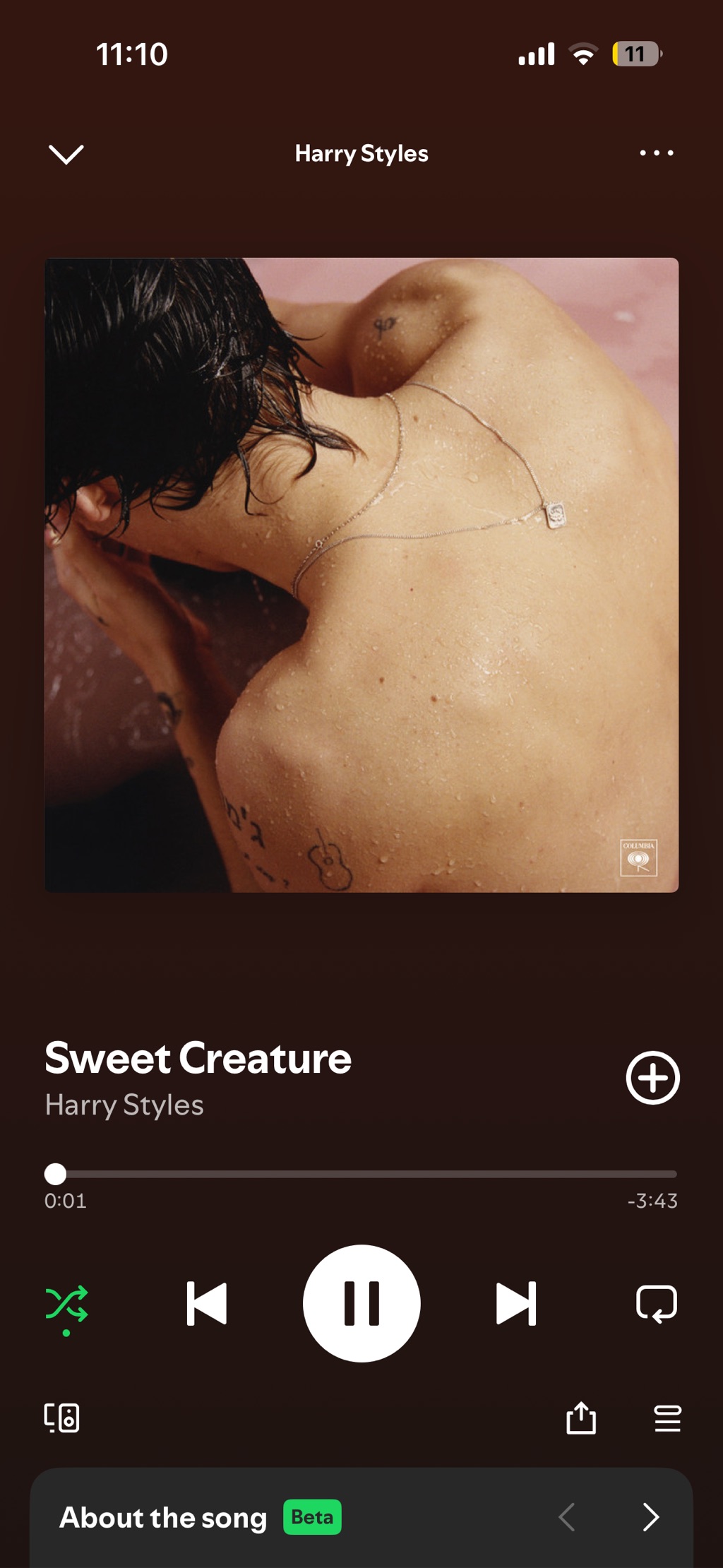 Sweet creature