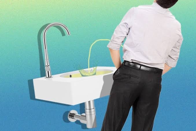 להשתין בכיור