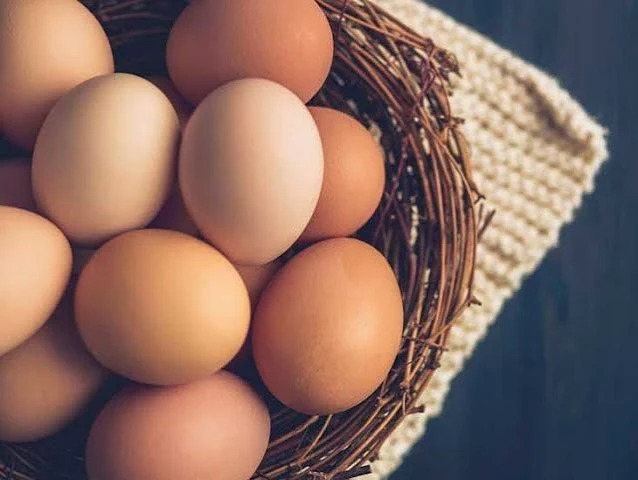 Egg