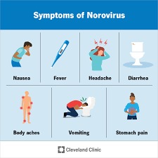 norovirus