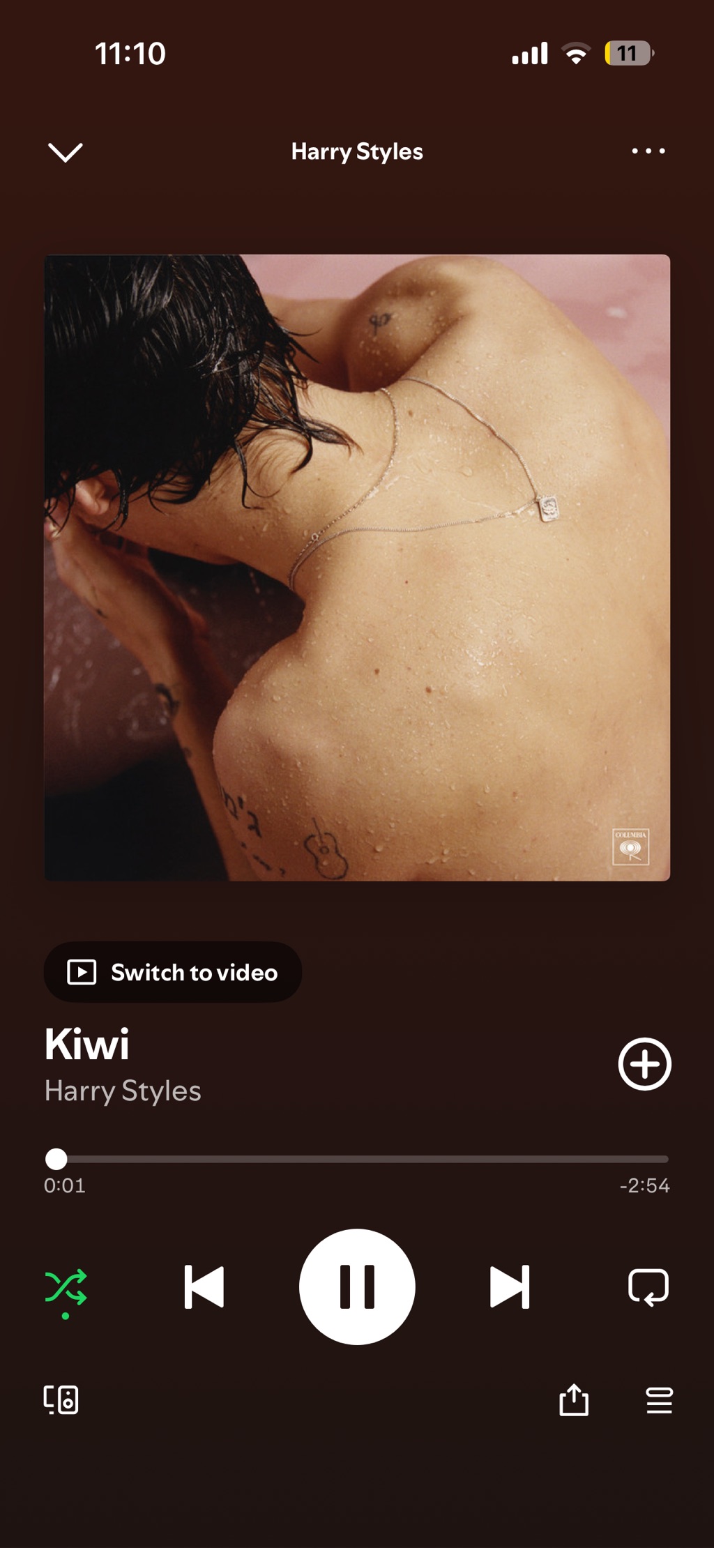 Kiwi