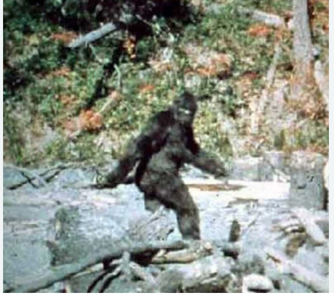 Bigfoot