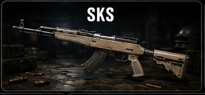 Ranking item