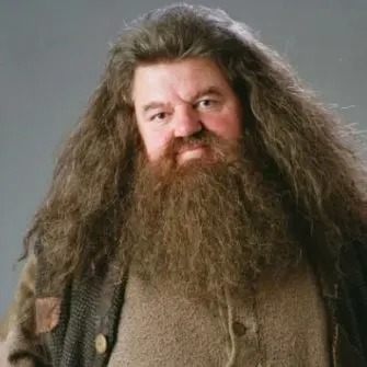 Hagrid