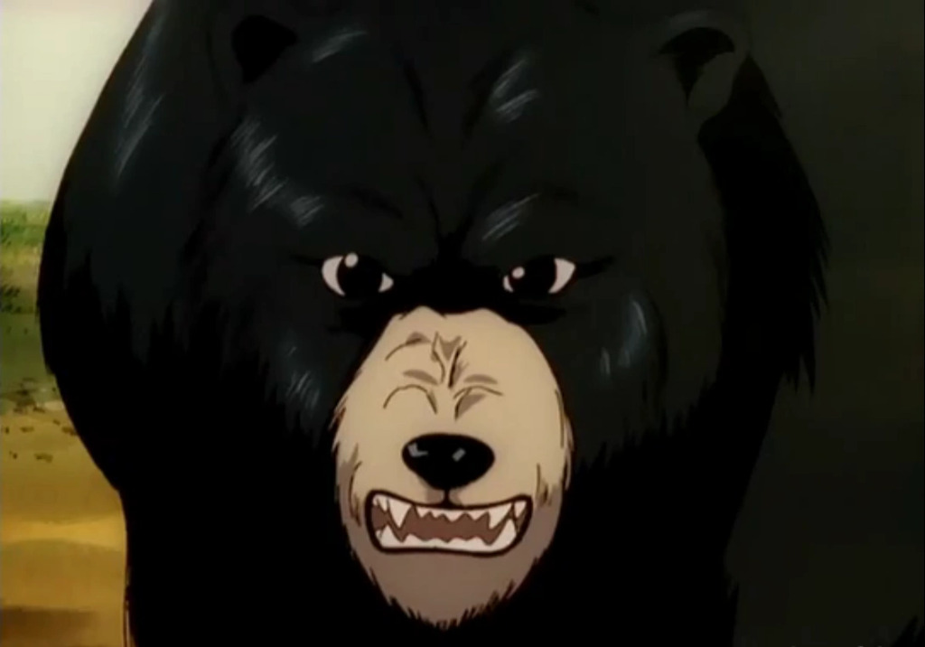 Bear