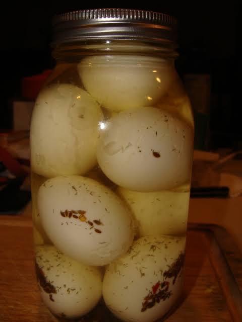 Pickled eggs