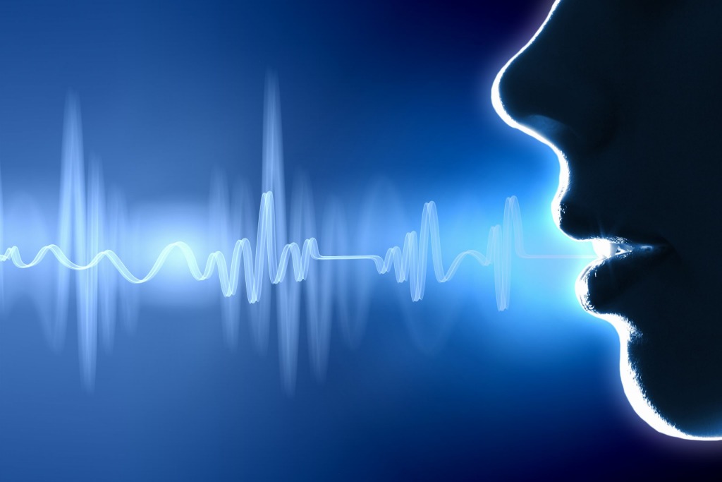 the voices