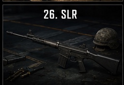 Ranking item