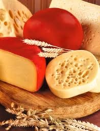 gouda