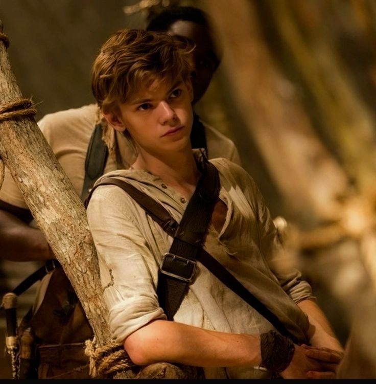 Newt