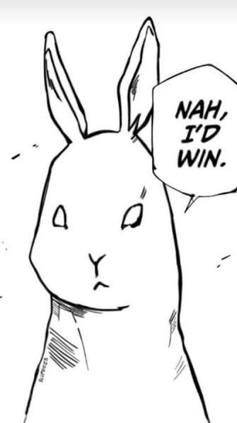 John Rabbit