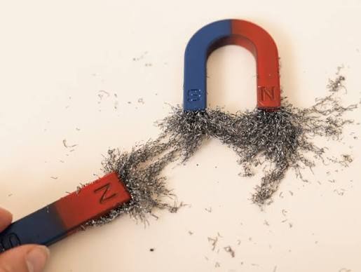 Magnet