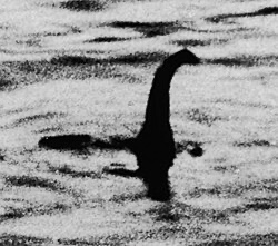 Lochness Monster