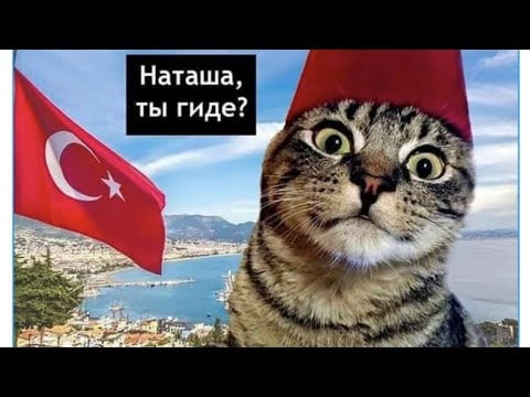Стамбул, хороший отель и никаких планов