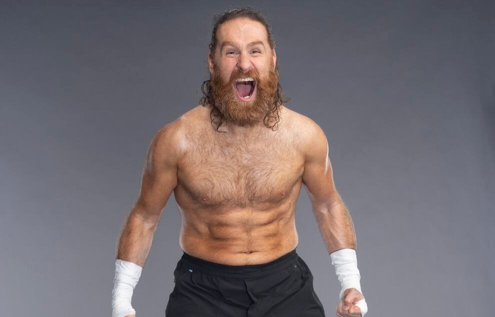 Sami Zayn