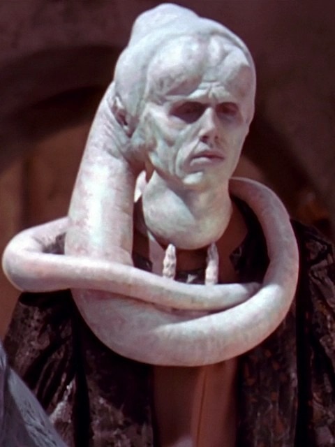 Bib Fortuna
