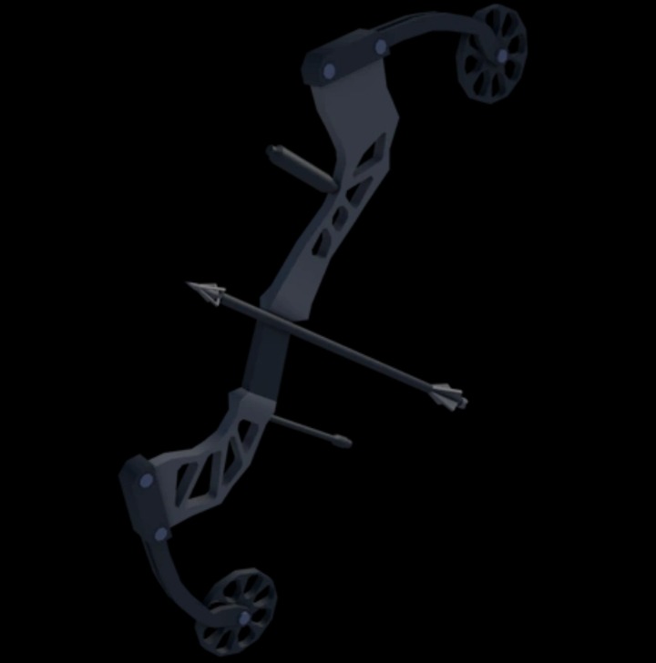 Compound Bow