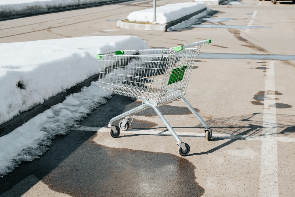Shopping Cart Left