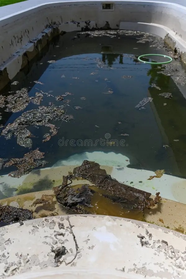 Stagnent pool