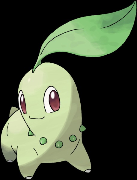 Endivie