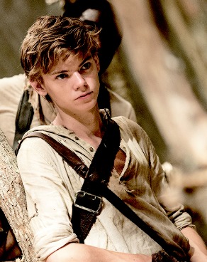 Newt