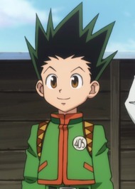 Gon Freecss