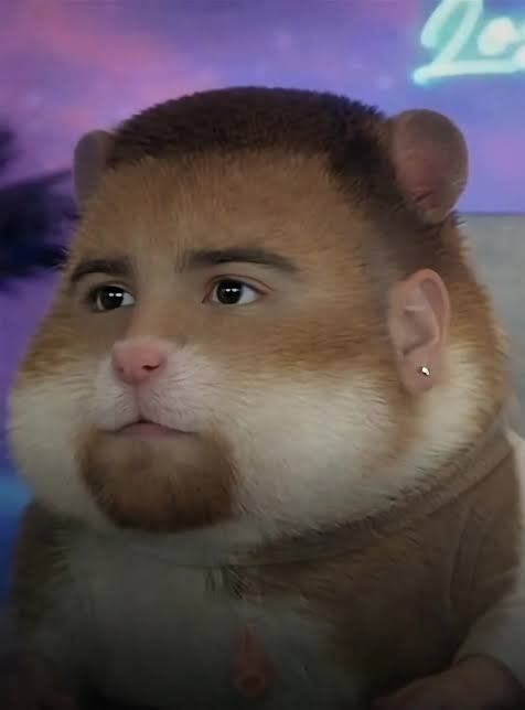 Gerdas hamster "Oscarlille"