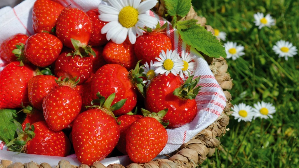 le fragole